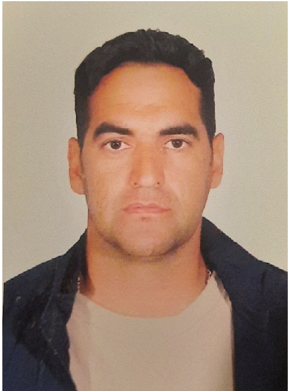 فرید سعیدی