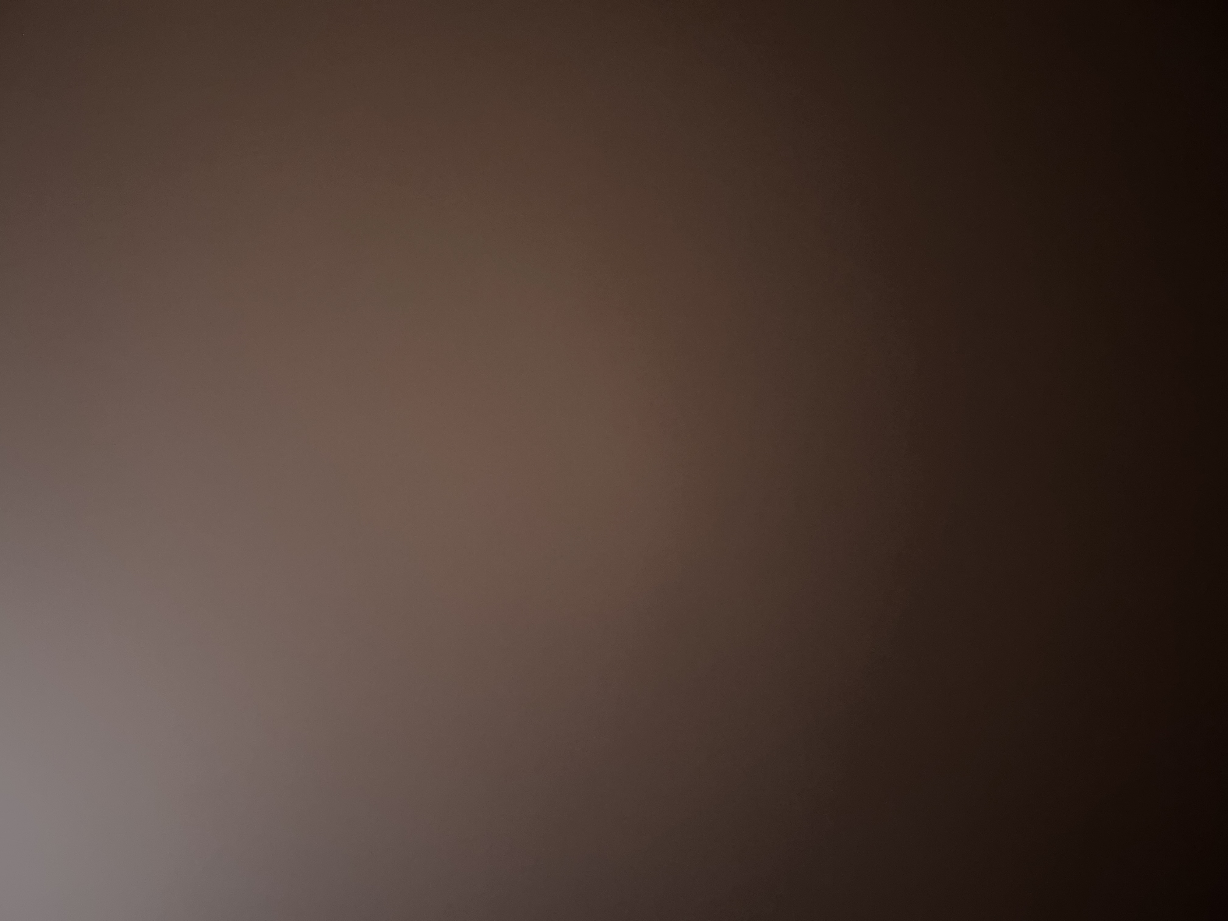 مجتبی قاسمی